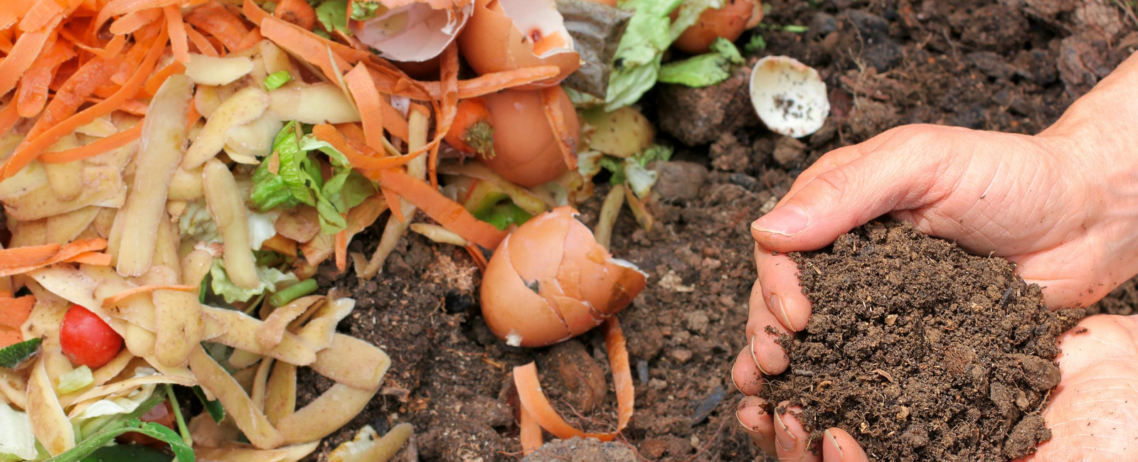 Photo of hand holding compost above food scraps