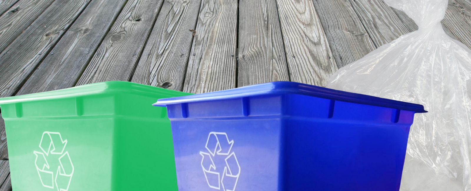 Photo of recycling and a bag of garbage.